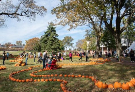 Gov­er­nors Island's Pumpkin Point