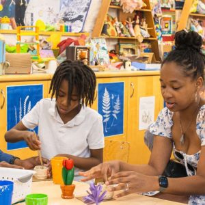 Family Art Project: Revealing the Palisades