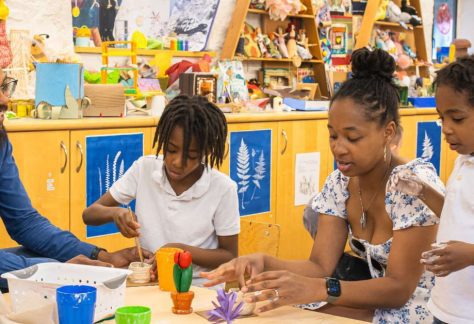 Family Art Project: Revealing the Palisades