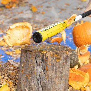 Pumpkin Smash at Hudson River Park