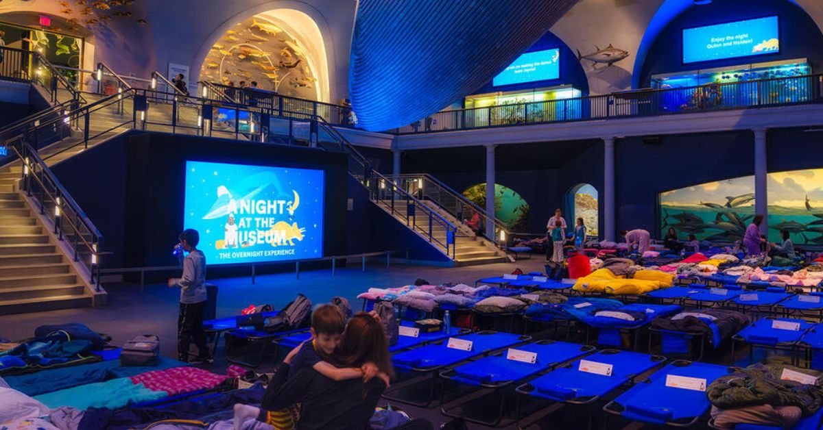 Sleep Among the Dinosaurs! American Museum of Natural History Announces New Sleepover Dates for 2027